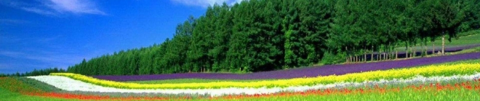 img4.jpg